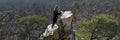 Cliffside Cleanup